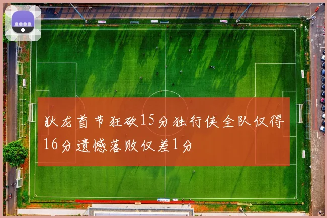 狄龙首节狂砍15分独行侠全队仅得16分遗憾落败仅差1分